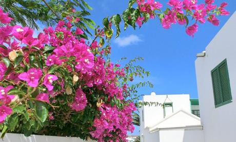 ¿Qué isla de Canarias es la mejor para vivir? ¿Qué isla de Canarias es la mejor para vivir?