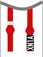 Una gaviota reidora con anilla negra XN1A