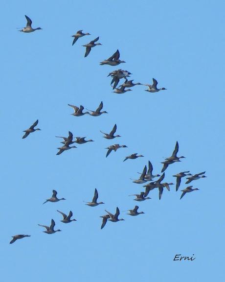 DISFRUTANDO UN LUNES AL SOL