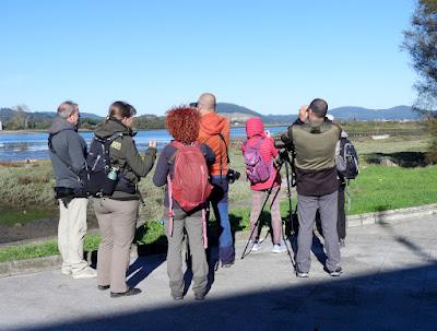 DISFRUTANDO UN LUNES AL SOL