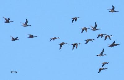 DISFRUTANDO UN LUNES AL SOL