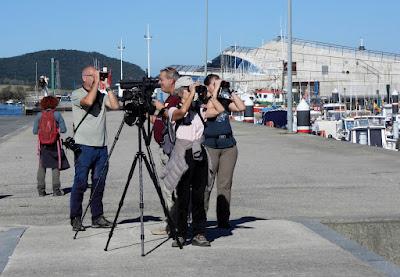 DISFRUTANDO UN LUNES AL SOL