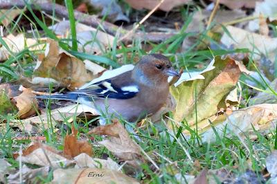 DISFRUTANDO UN LUNES AL SOL
