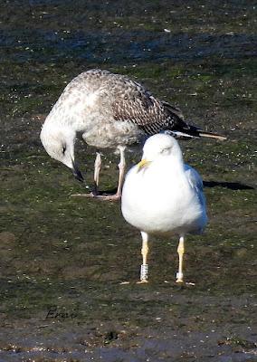 DISFRUTANDO UN LUNES AL SOL DISFRUTANDO UN LUNES AL SOL
