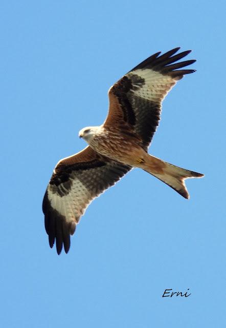 DISFRUTANDO UN LUNES AL SOL