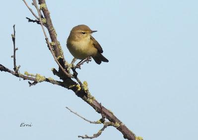DISFRUTANDO UN LUNES AL SOL