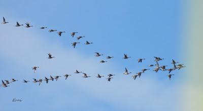 DISFRUTANDO UN LUNES AL SOL