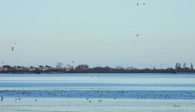 DISFRUTANDO UN LUNES AL SOL