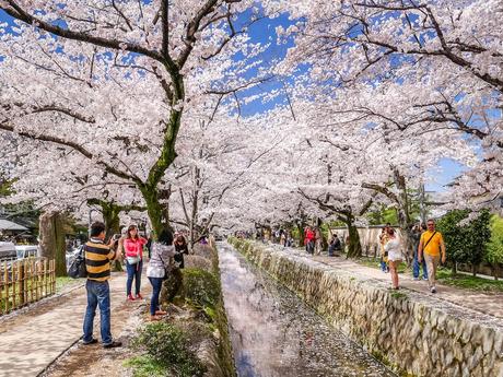 11 calles bordeadas de árboles en flor por las que tienes que caminar El camino del filósofo