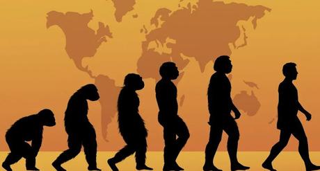 ¿Cuánto sabes sobre la evolución humana?Evolución humana:...