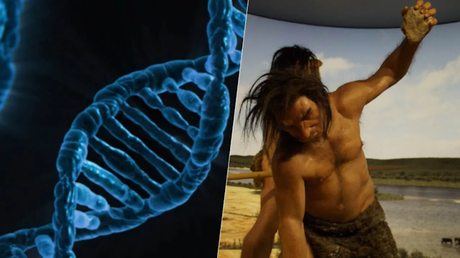 Los conceptos básicos de la evolución humana Los conceptos básicos de la evolución humana