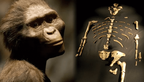 Los conceptos básicos de la evolución humana Los conceptos básicos de la evolución humana