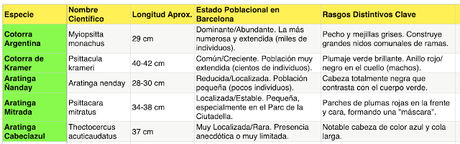 La Aratinga Ñanday en Barcelona