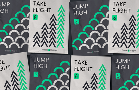 GOOSE AND HOPPER: DESARROLLO DE PRODUCTOS DIGITALES WEB Y APPS PARA IMPULSAR TU EMPRESA