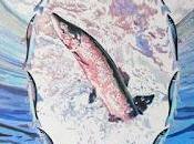 Steve Hillage Fish Rising (1975)