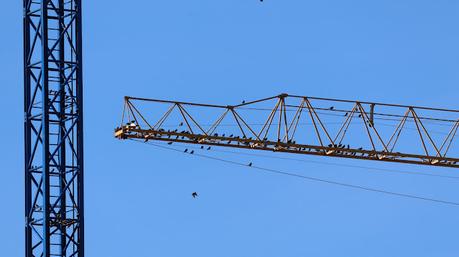 Murmuraciones Murmuraciones