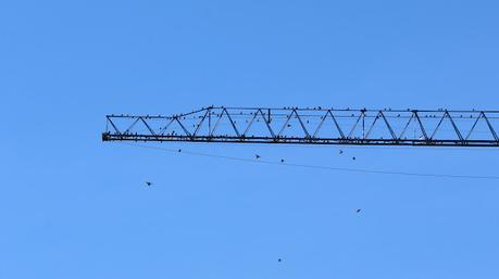 Murmuraciones Murmuraciones