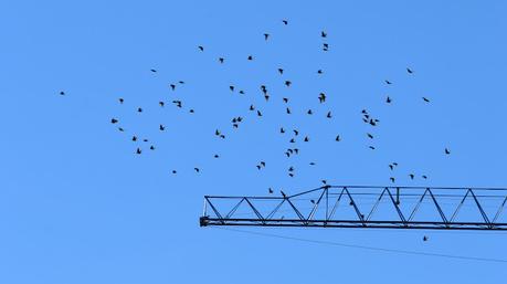 Murmuraciones Murmuraciones