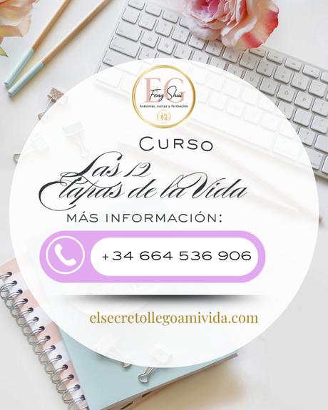 ✨ NOVEDAD para 2026‼️ 🧬Descubre las 12 Etapas de la Vida