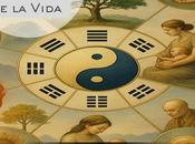 NOVEDAD para 2026‼️ 🧬Descubre Etapas Vida