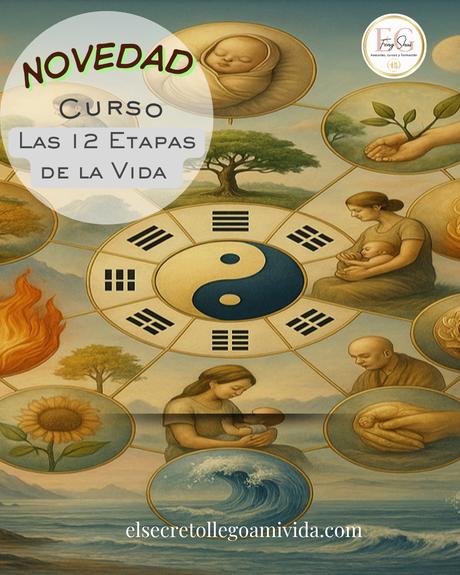 ✨ NOVEDAD para 2026‼️ 🧬Descubre las 12 Etapas de la Vida