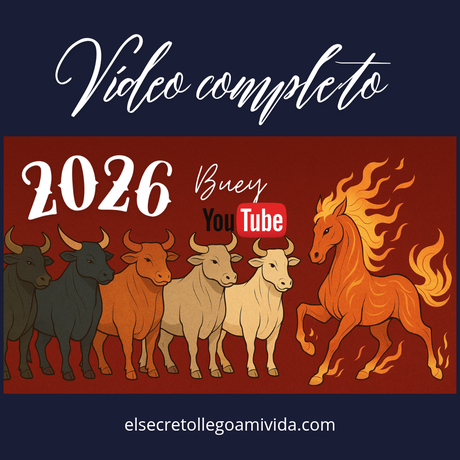 🌟Qué te traerá este 2026 si tienes Tigre o Buey o Rata en tu Carta Bazi.