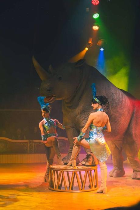 Exito en Castellón, alargamos nuestra estancia! circo en castellon