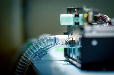 El Gobierno empieza a preparar con las comunidades autónomas las actuaciones relacionadas con el Trío de Eclipses El Gobierno empieza a preparar con las comunidades autónomas las actuaciones relacionadas con el Trío de Eclipses