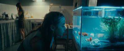 Vivir deprisa + Cuatro paredes