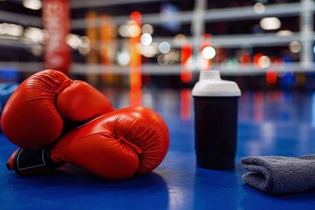 El nuevo enfoque del entrenamiento de combate; técnica, control y protección El nuevo enfoque del entrenamiento de combate; técnica, control y protección