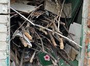 libertad como acción: terminar trabajo. especial miércoles, noviembre 2025