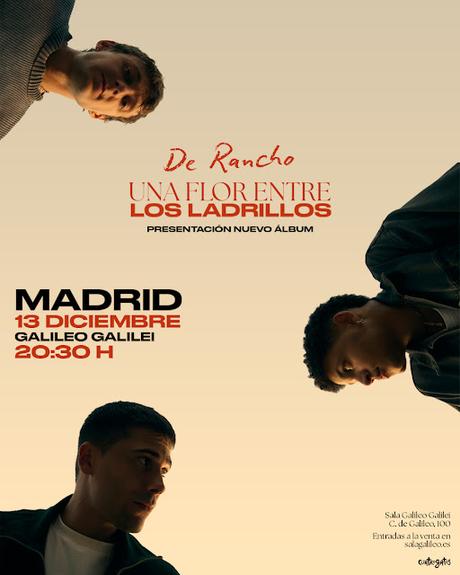 DE RANCHO: 'UNA FLOR ENTRE LOS LADRILLOS'