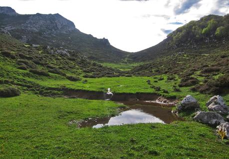 De Tajadura a la Redondina (LA AGRESTE PEÑAMELLERA PARTE I) Vista hacia el Collado La Piedra desde Tajadura