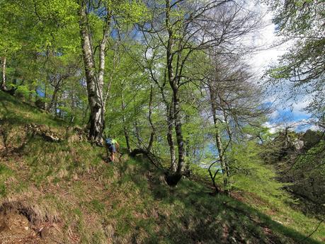 De Tajadura a la Redondina (LA AGRESTE PEÑAMELLERA PARTE I) Inicio de la subida norte
