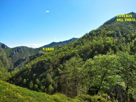 De Tajadura a la Redondina (LA AGRESTE PEÑAMELLERA PARTE I) Vista hacia la majada de Nario y Coterín del Toral
