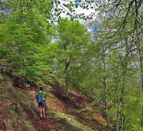 De Tajadura a la Redondina (LA AGRESTE PEÑAMELLERA PARTE I) Sendero de La Conchona