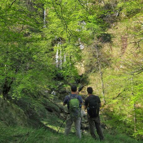 De Tajadura a la Redondina (LA AGRESTE PEÑAMELLERA PARTE I) Cascadas aguas arriba de la Riega Entrejano