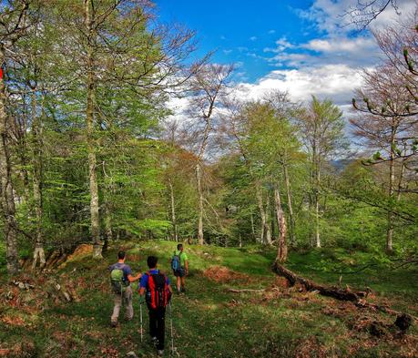 De Tajadura a la Redondina (LA AGRESTE PEÑAMELLERA PARTE I) Zona donde se pierde el sendero