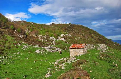 De Tajadura a la Redondina (LA AGRESTE PEÑAMELLERA PARTE I) Majada de Tajadura