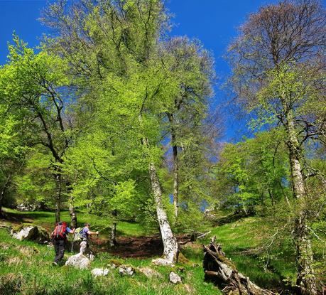 De Tajadura a la Redondina (LA AGRESTE PEÑAMELLERA PARTE I) Tramo superior de la vallina