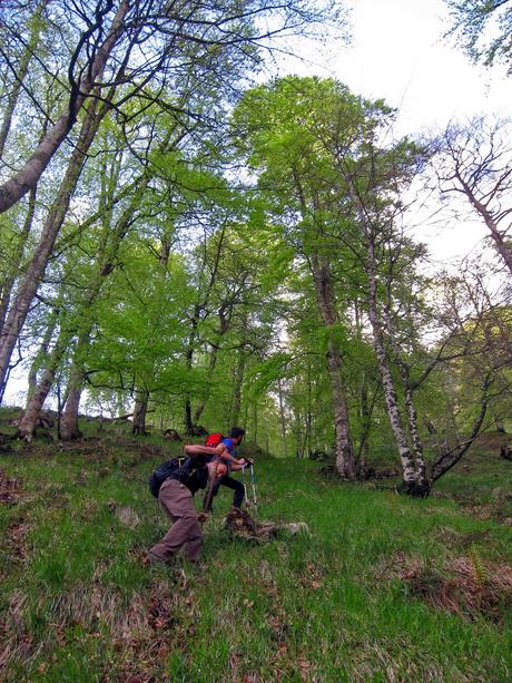 De Tajadura a la Redondina (LA AGRESTE PEÑAMELLERA PARTE I) Descenso por la vallina