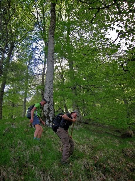 De Tajadura a la Redondina (LA AGRESTE PEÑAMELLERA PARTE I) Toral de la Guspirina