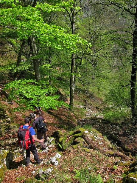 De Tajadura a la Redondina (LA AGRESTE PEÑAMELLERA PARTE I) Descenso monte a través guiado por jitos