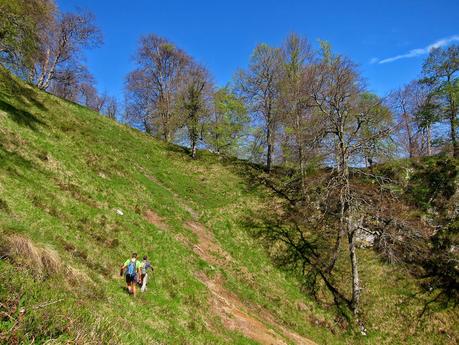 De Tajadura a la Redondina (LA AGRESTE PEÑAMELLERA PARTE I) Ascenso hacia el hayedo