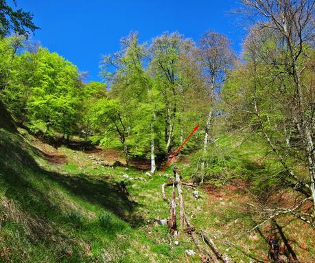 De Tajadura a la Redondina (LA AGRESTE PEÑAMELLERA PARTE I) Vallina de ascenso al Toral de las Vacas
