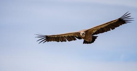 ¿Qué ver en Extremadura? Pueblos, Parques Naturales y ciudades con historia ¿Qué ver en Extremadura? Pueblos, Parques Naturales y ciudades con historia