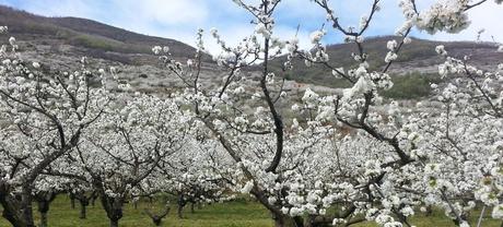 ¿Qué ver en Extremadura? Pueblos, Parques Naturales y ciudades con historia ¿Qué ver en Extremadura? Pueblos, Parques Naturales y ciudades con historia