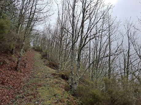 El Reboḷḷal-Alto del Trayecto-El Mosqueiro