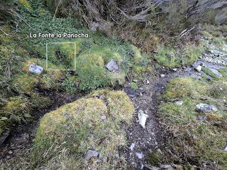 El Reboḷḷal-Alto del Trayecto-El Mosqueiro