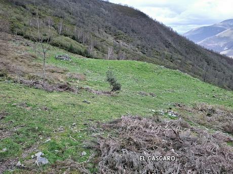 El Reboḷḷal-Alto del Trayecto-El Mosqueiro